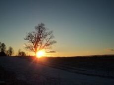 BGW-Erfahrungsberichte-Leinberger-As-Norwegen-winter-sun