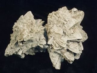 Pseudomorphose von Quarz nach Calcit (Fundort Fontainebleau bei Paris/Frankreich), ca. 40 cm breit. Das Objekt wurde 1816 von Dr. Donner aus Berlin nach Jena an die "Societät für die gesammte Mineralogie zu Jena"  geschenkt.